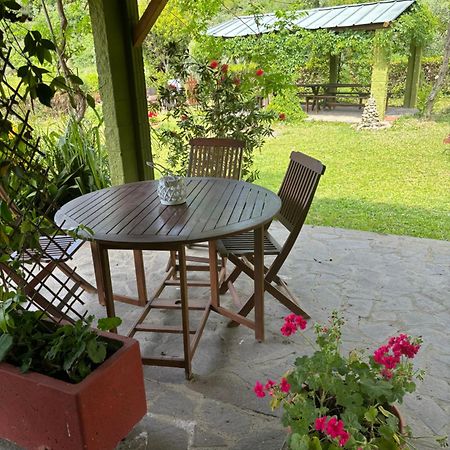 Casa Verde Country House Montescudaio Ngoại thất bức ảnh