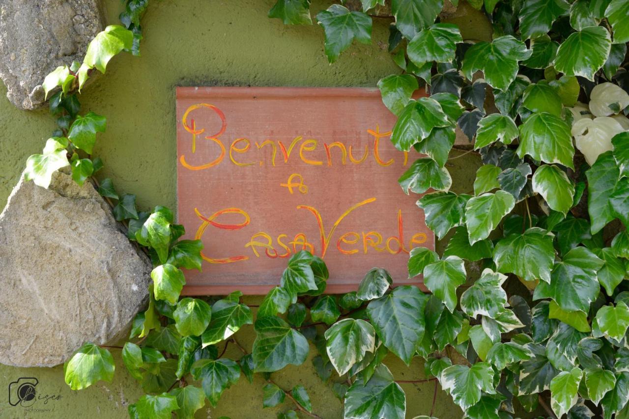 Casa Verde Country House Montescudaio Ngoại thất bức ảnh