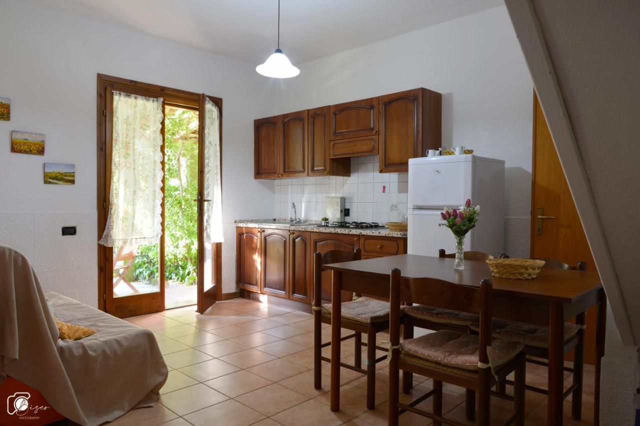 Casa Verde Country House Montescudaio Ngoại thất bức ảnh