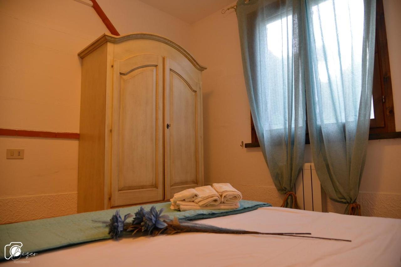 Casa Verde Country House Montescudaio Ngoại thất bức ảnh