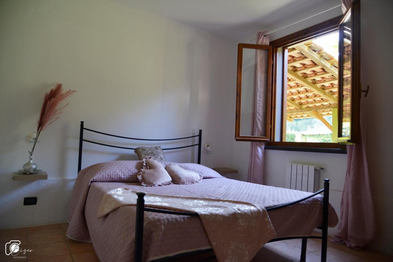 Casa Verde Country House Montescudaio Ngoại thất bức ảnh