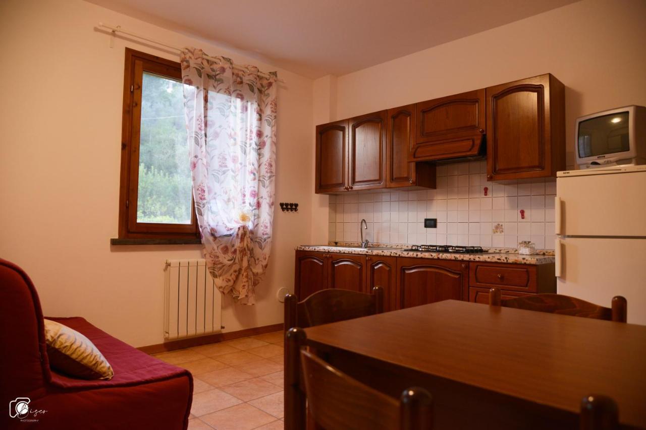 Casa Verde Country House Montescudaio Ngoại thất bức ảnh