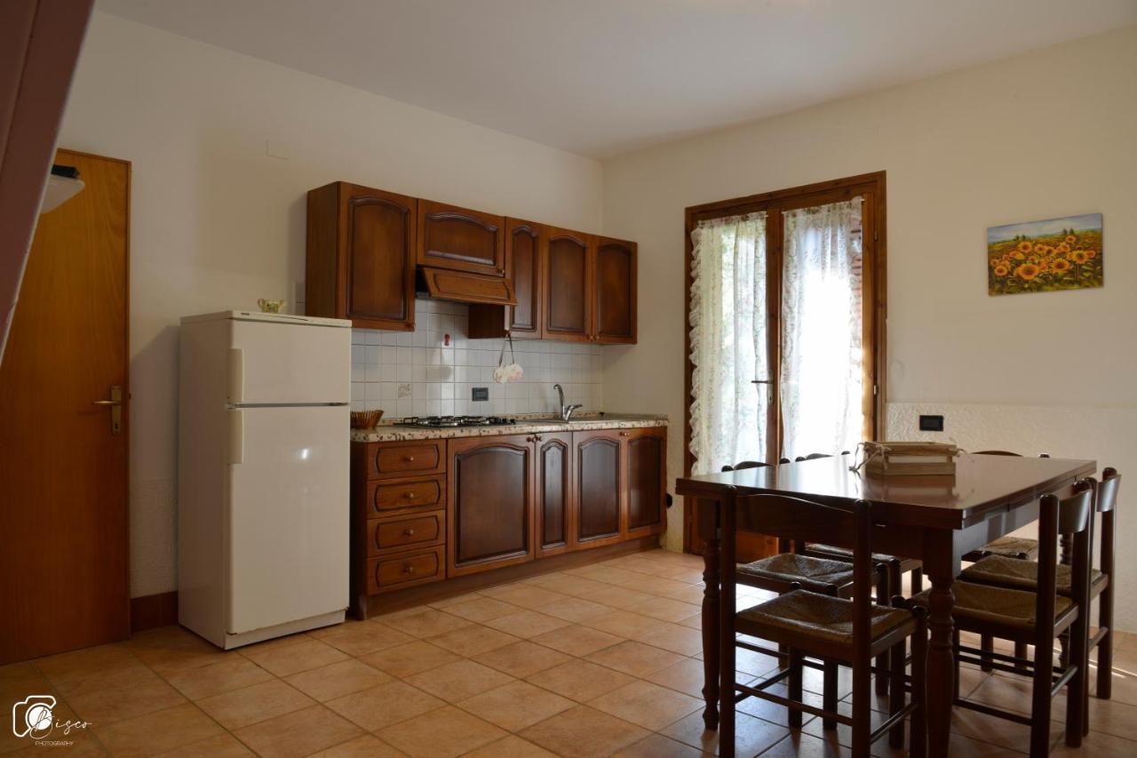 Casa Verde Country House Montescudaio Ngoại thất bức ảnh