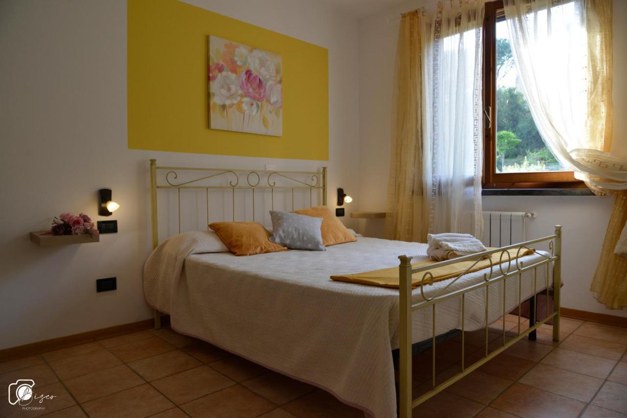 Casa Verde Country House Montescudaio Ngoại thất bức ảnh