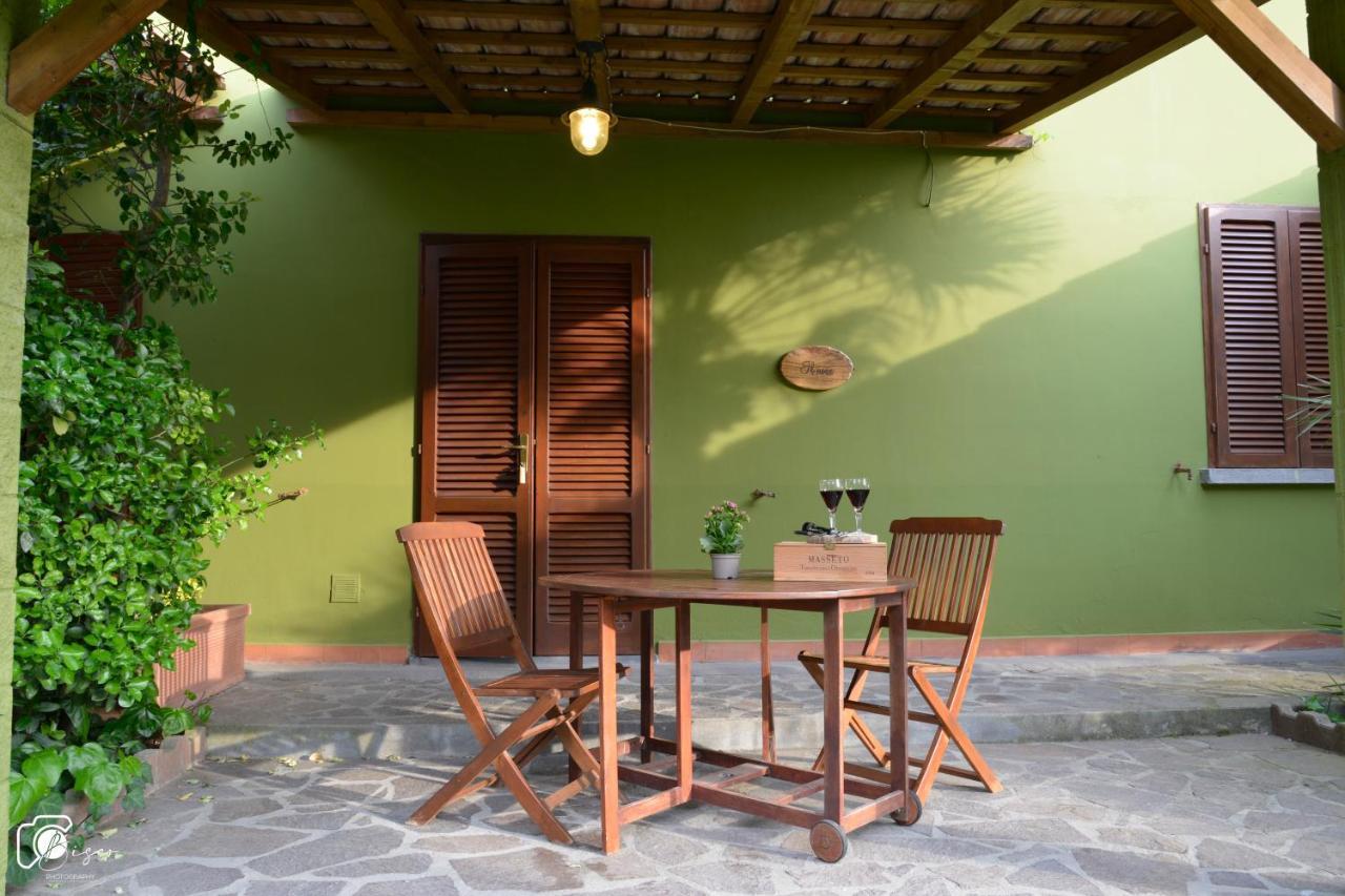 Casa Verde Country House Montescudaio Ngoại thất bức ảnh