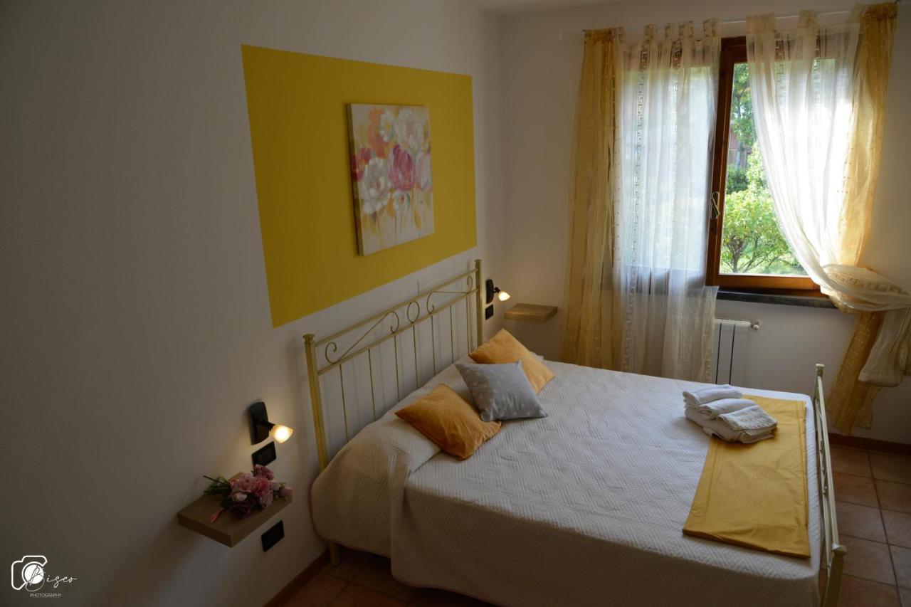 Casa Verde Country House Montescudaio Ngoại thất bức ảnh