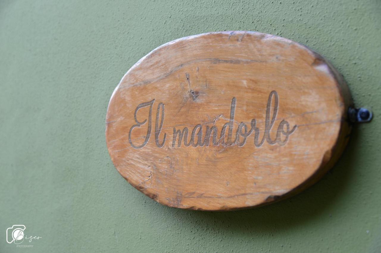 Casa Verde Country House Montescudaio Ngoại thất bức ảnh