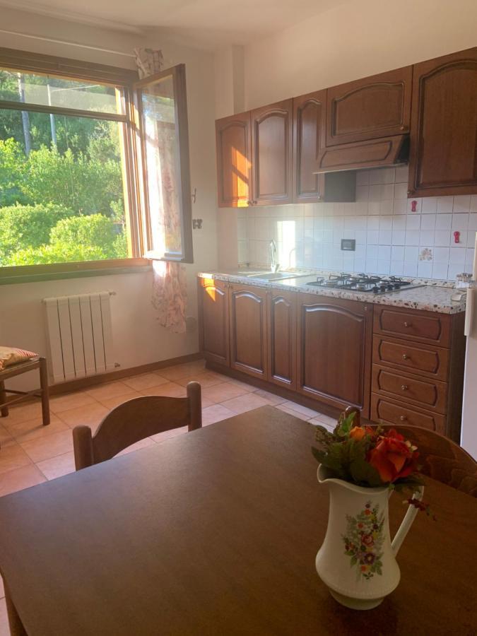 Casa Verde Country House Montescudaio Ngoại thất bức ảnh