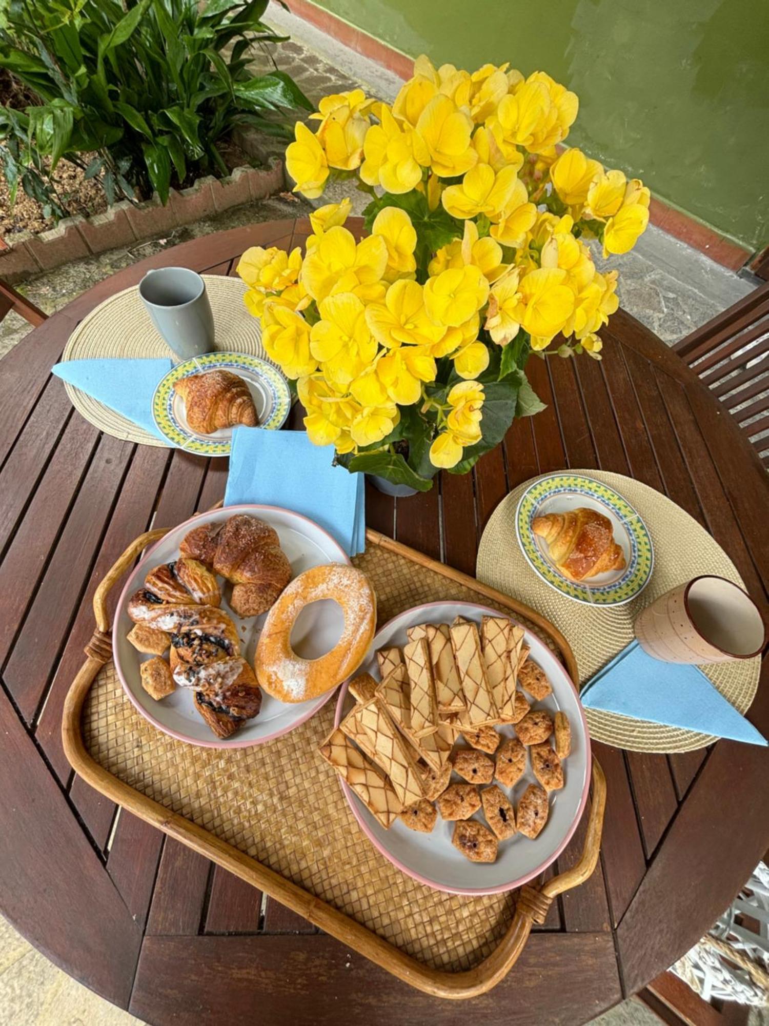 Casa Verde Country House Montescudaio Ngoại thất bức ảnh