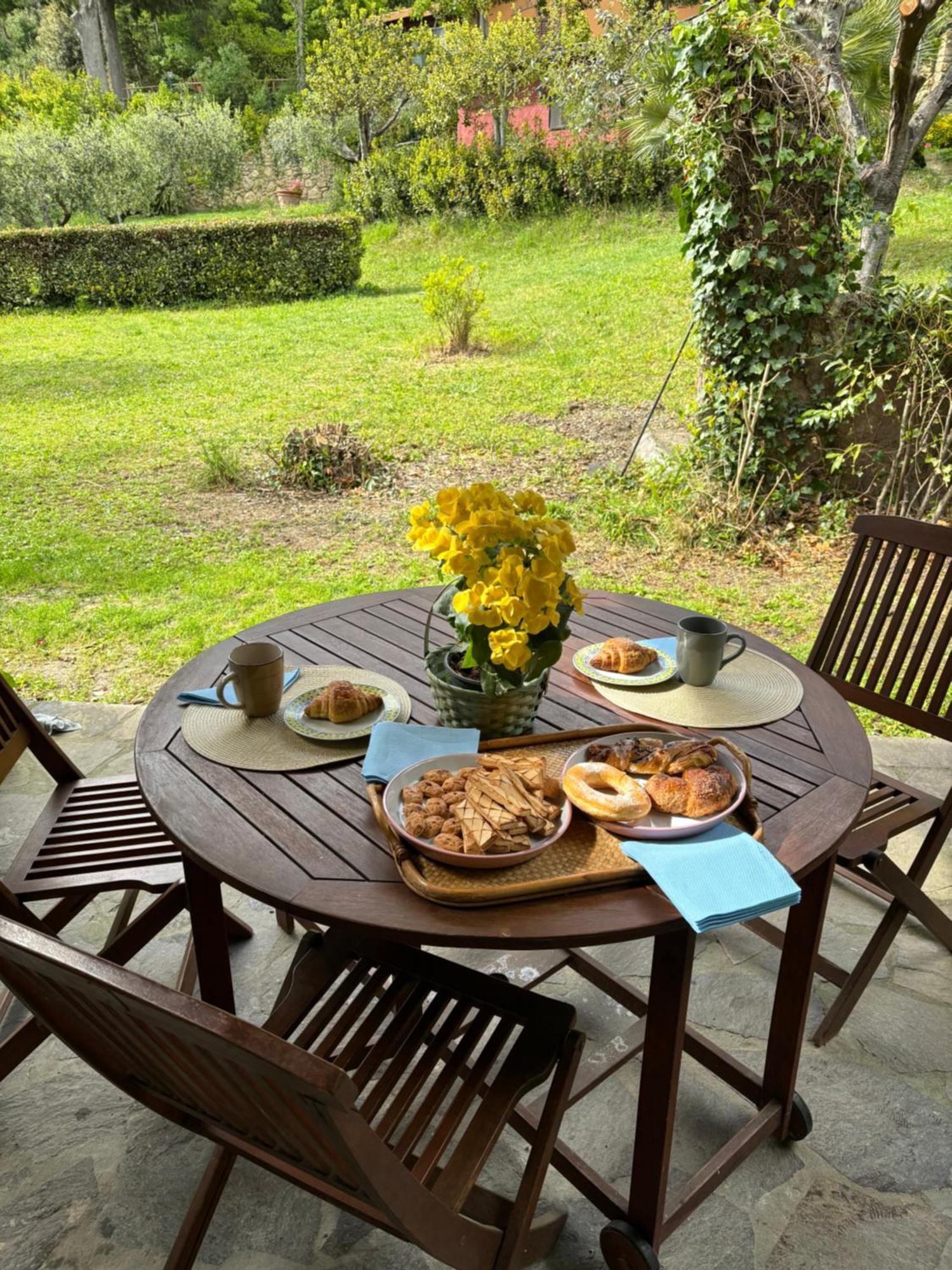Casa Verde Country House Montescudaio Ngoại thất bức ảnh