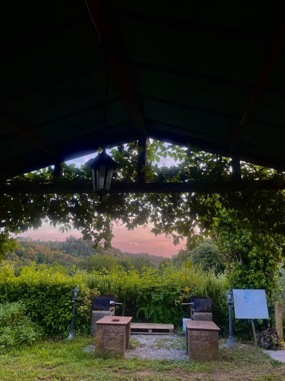 Casa Verde Country House Montescudaio Ngoại thất bức ảnh
