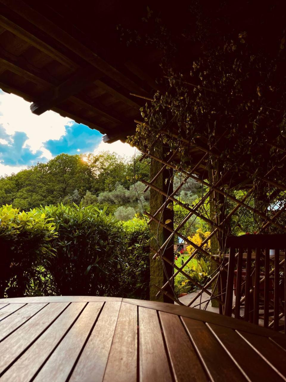 Casa Verde Country House Montescudaio Ngoại thất bức ảnh