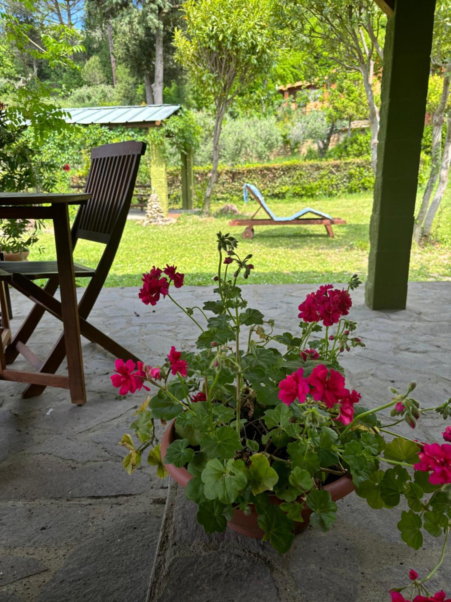 Casa Verde Country House Montescudaio Ngoại thất bức ảnh