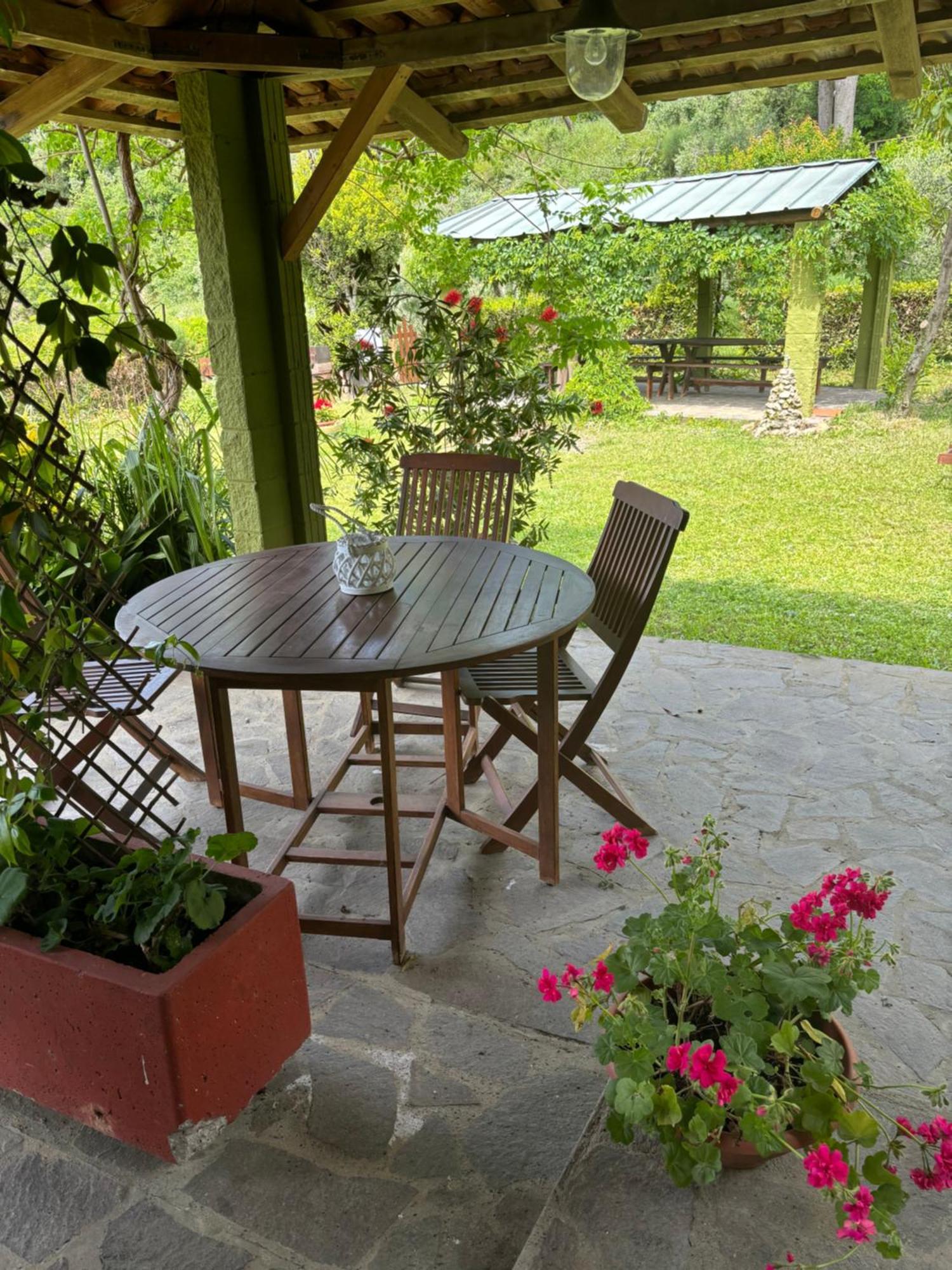 Casa Verde Country House Montescudaio Ngoại thất bức ảnh